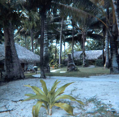bb_huts001.jpg