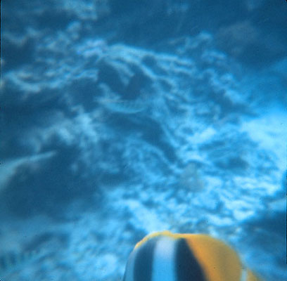 bb_underwtr001.jpg